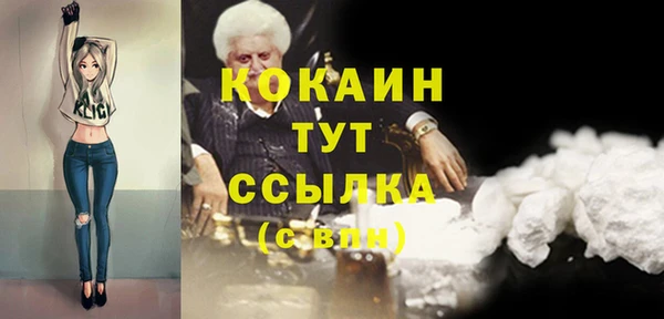 стафф Алзамай