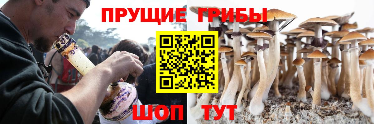 Карачаевск  Галлюциногенные грибы MAGIC MUSHROOMS  Вход с VPN 