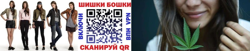 купить закладку  Карачаевск  Бошки Шишки White Widow 
