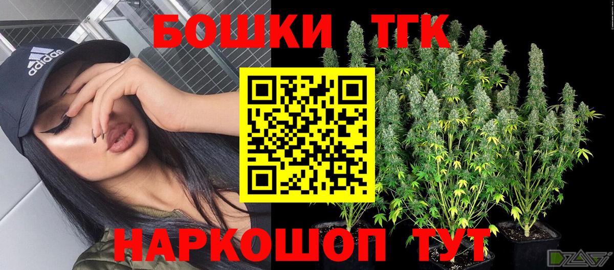 Бошки Шишки план Карачаевск